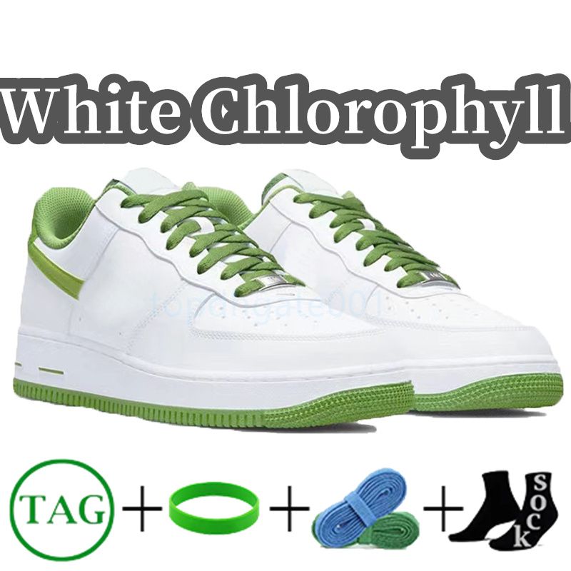 #21- White Chlorophyll