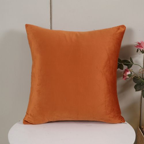 Housse de coussin 1