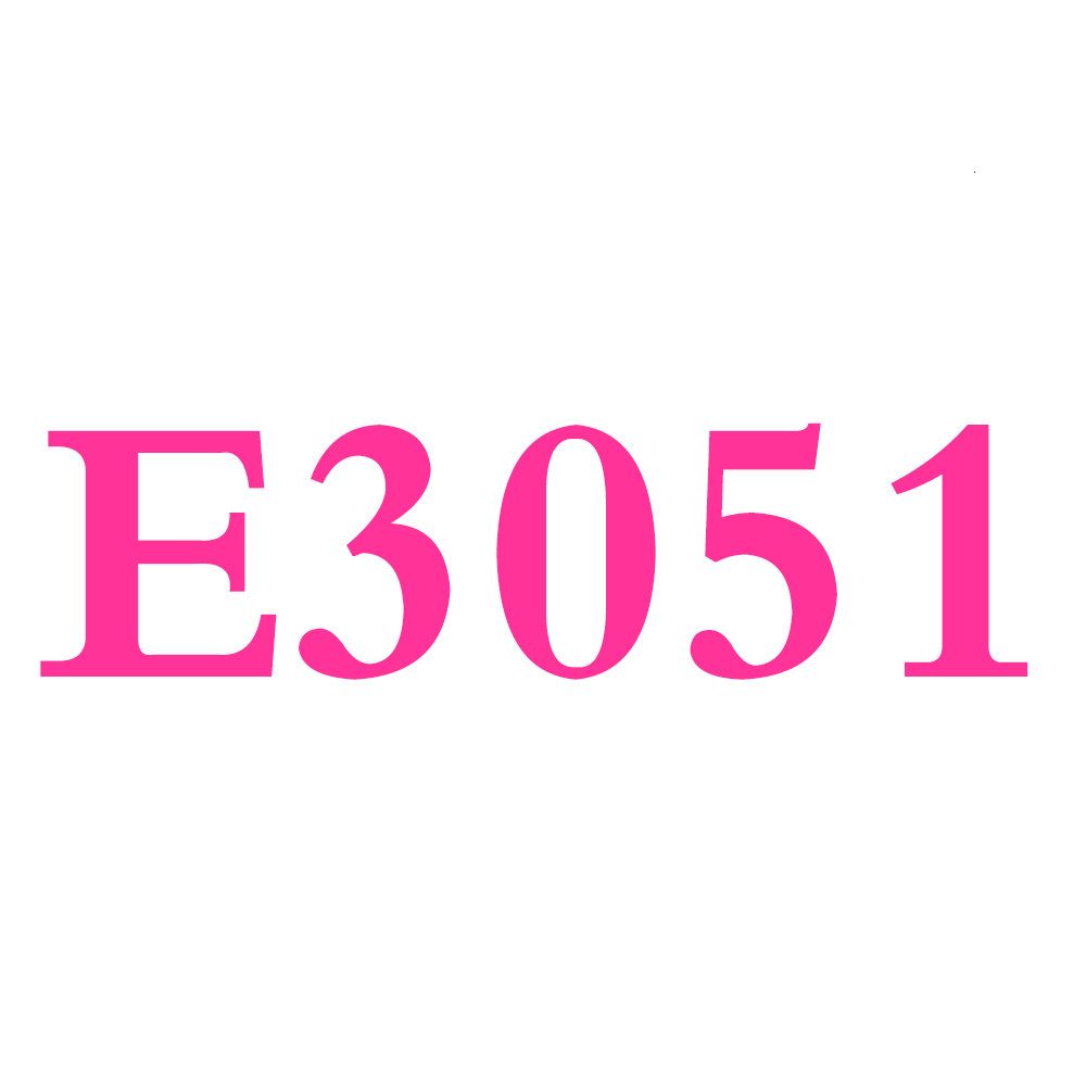 E3051