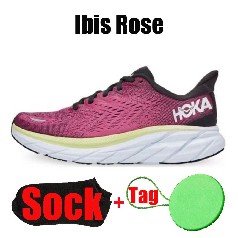 35 Ibis Rose 3640