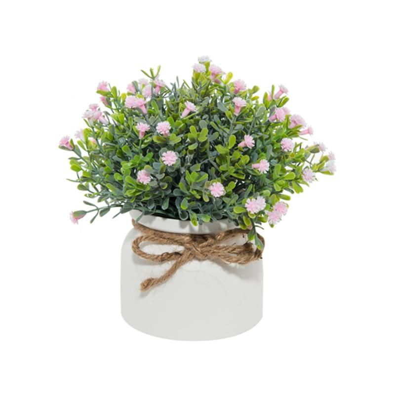 Gypsophila 2