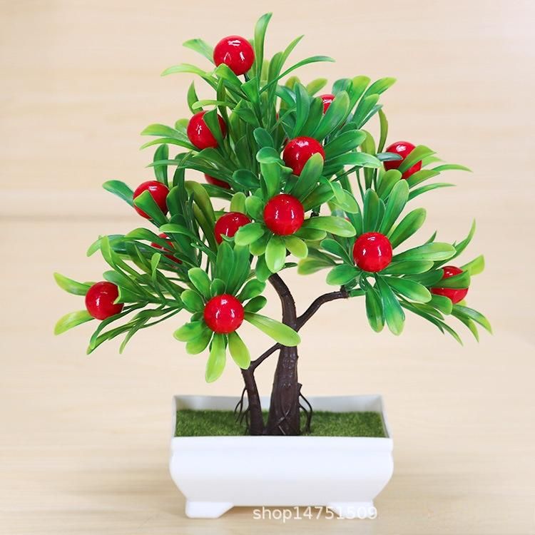 xiaohongguo arbre