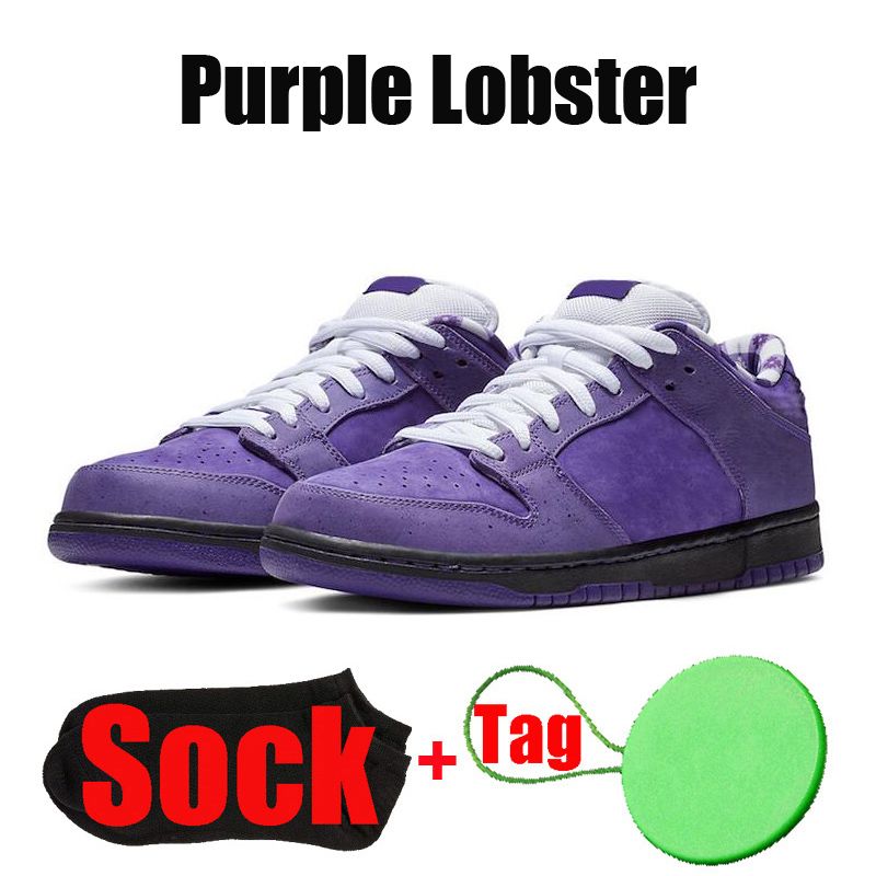 #21 Purple Lobster 36-45