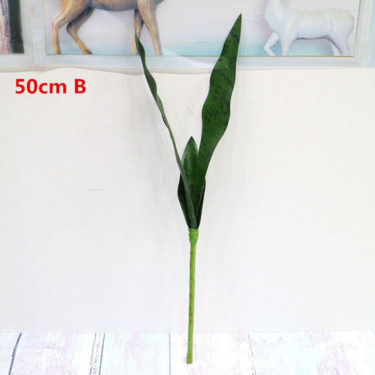 50cm B