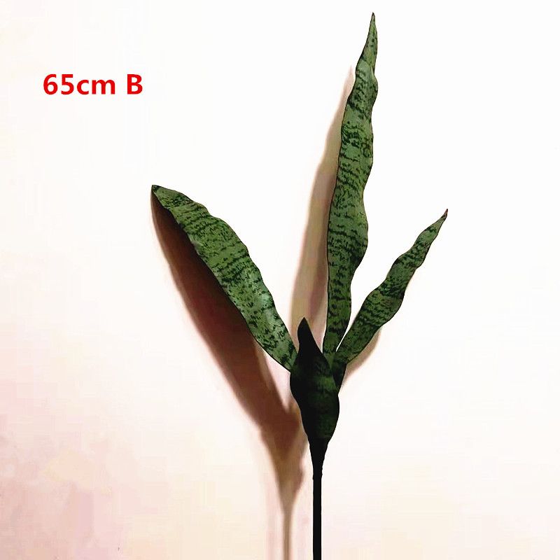 65 cm b