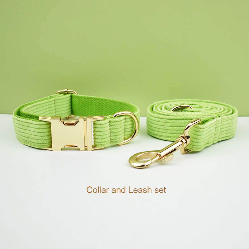 collar and leash set