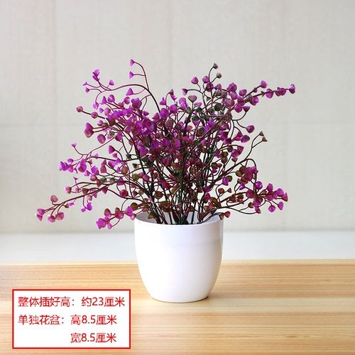 Bell Grass Purplerar