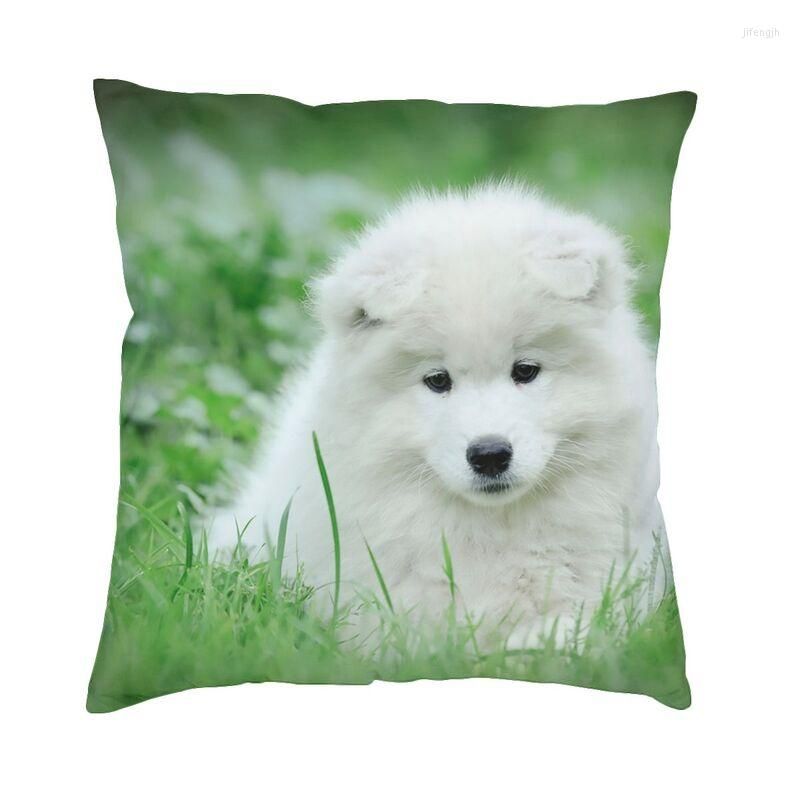 Cushion Cover