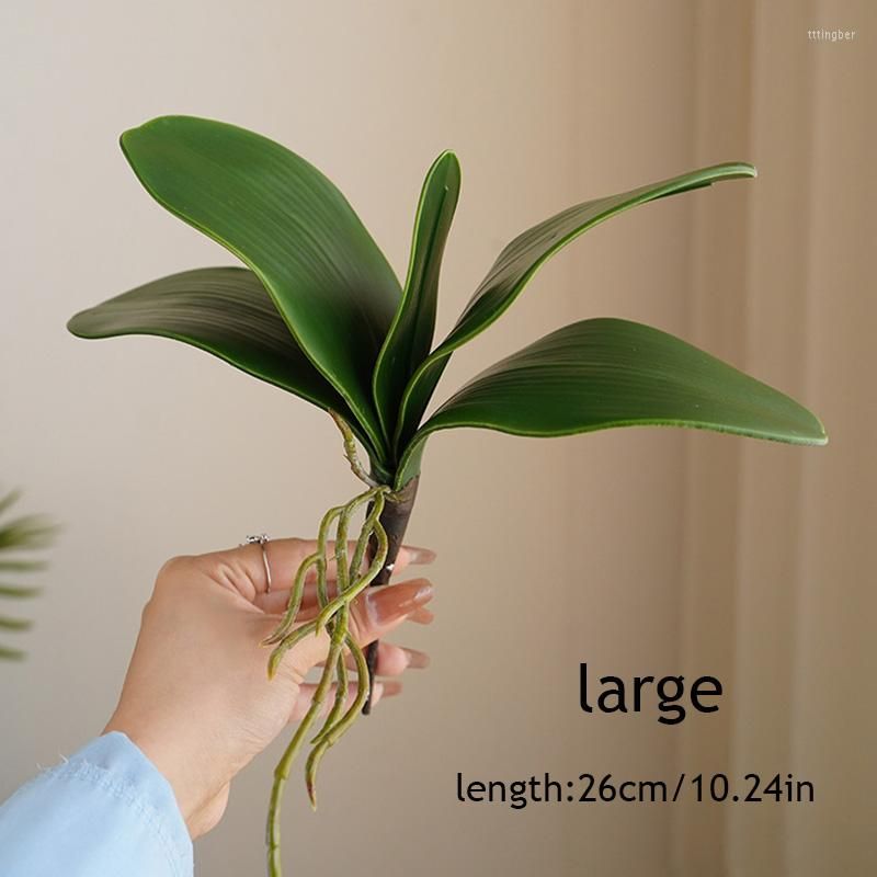 large leaf