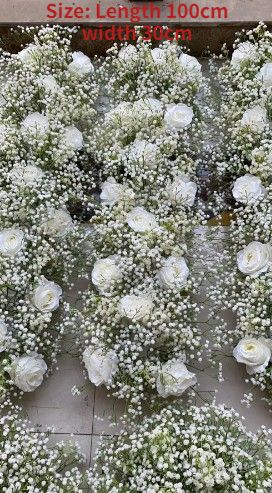 babysbreath