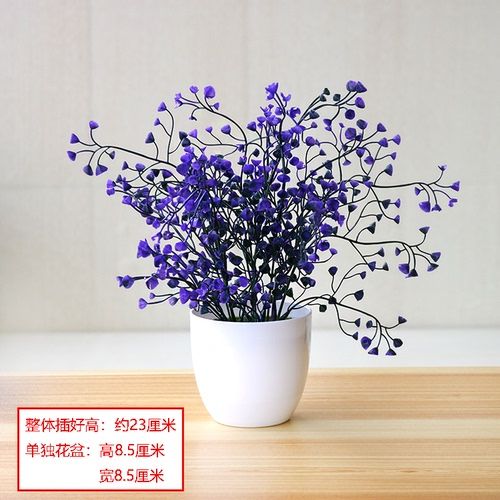 Bell Grass Violet