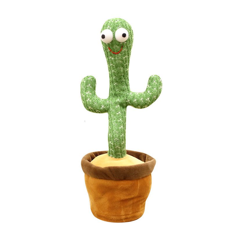 groene cactus