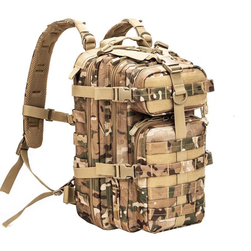 Multicam