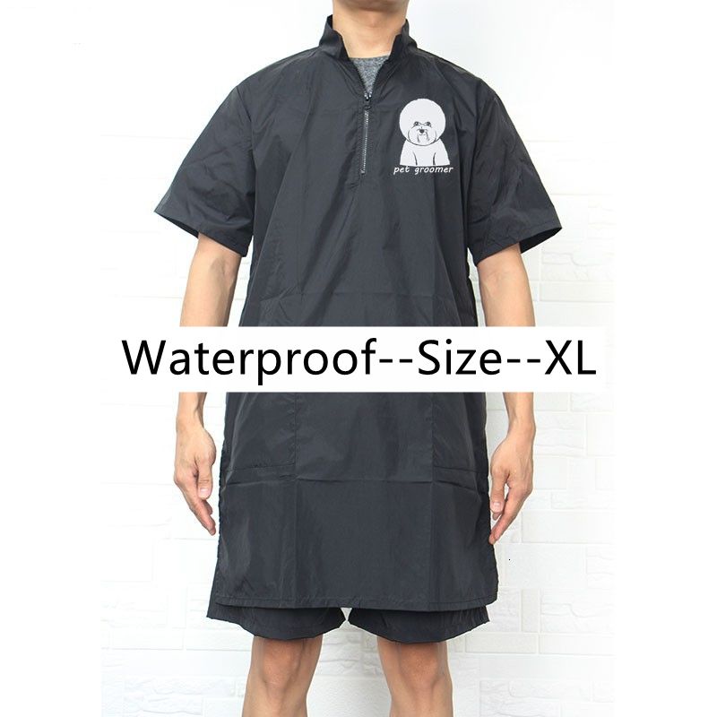 Bichonshortsleeve XL