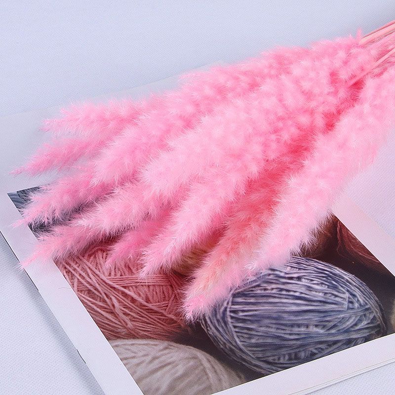 20pcs Pink Pampas