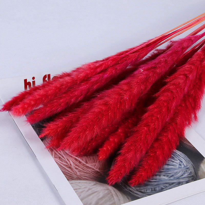 20pcs Red Pampas