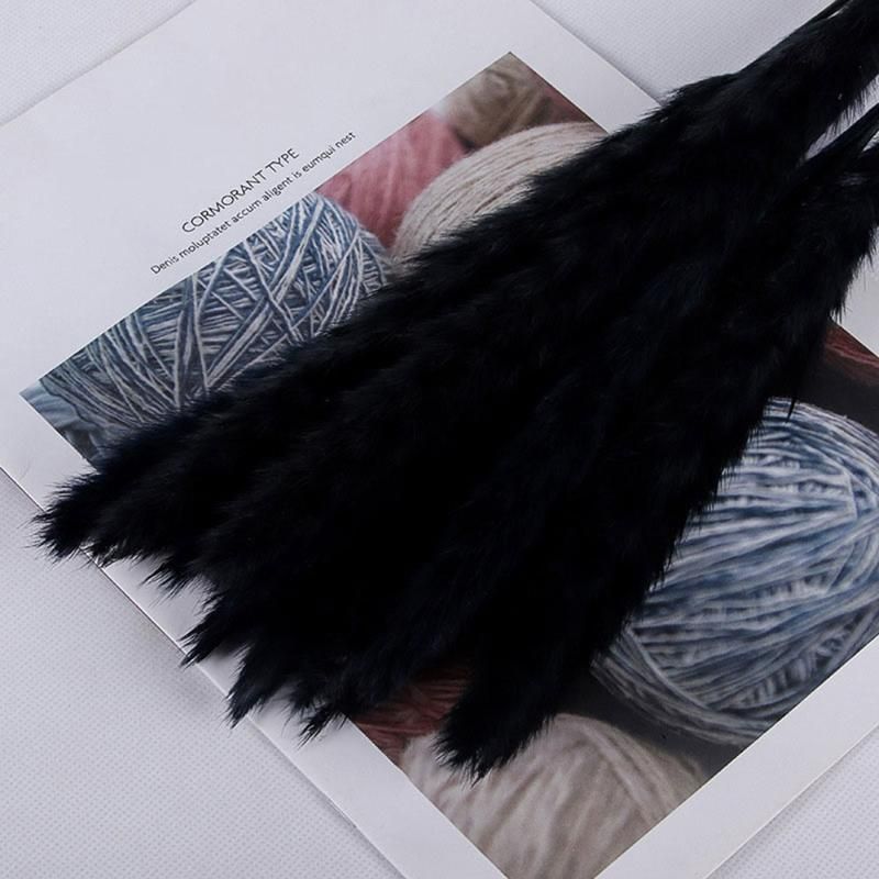 20pcs Black Pampas