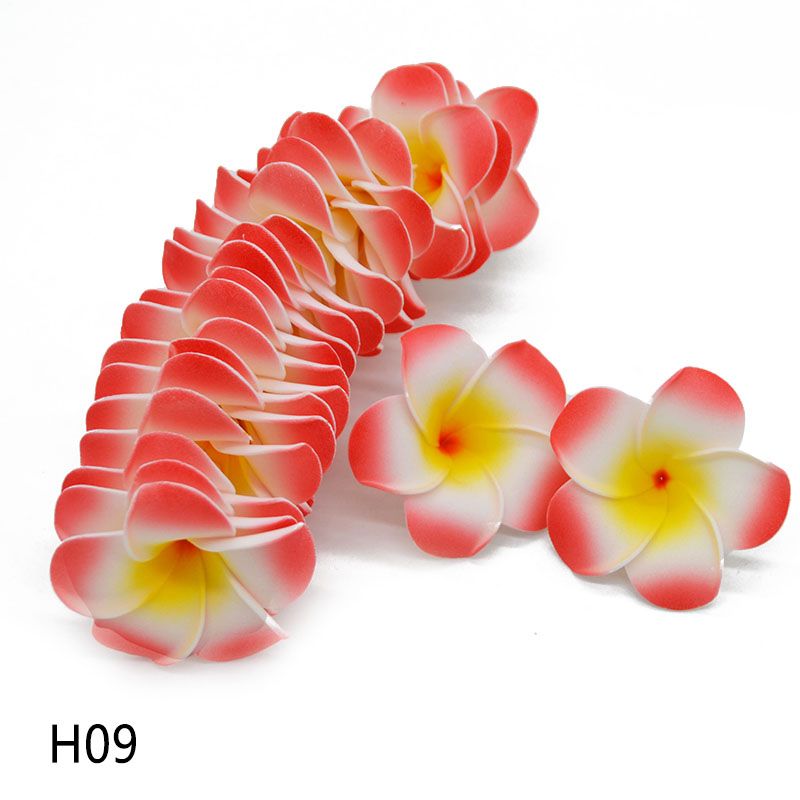 H09