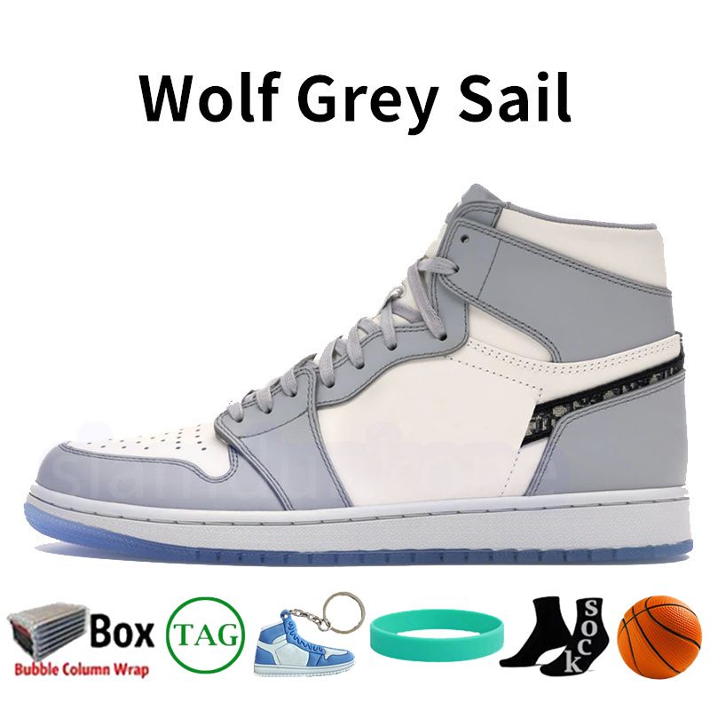 #46- Wolf Grey Sail
