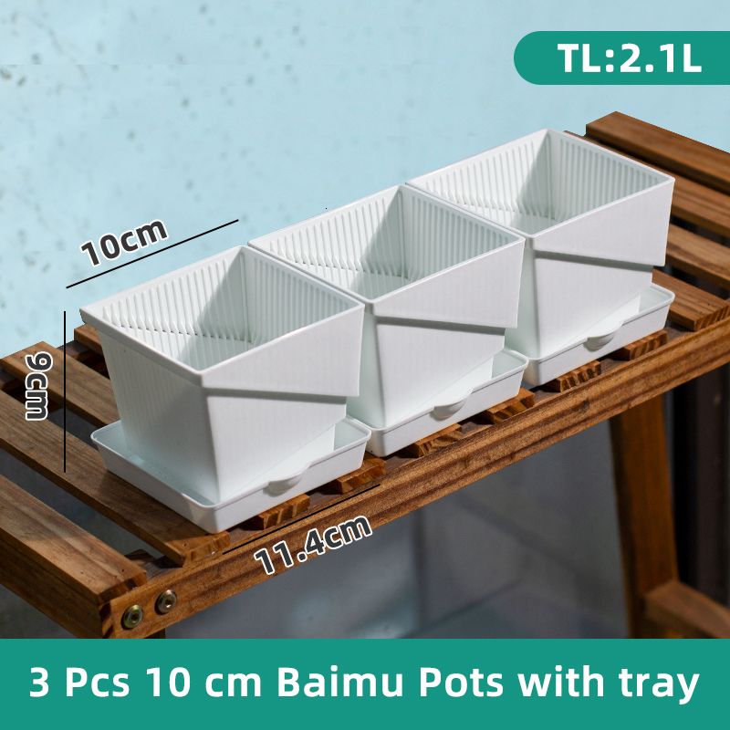 3 pots de baimu 10cm