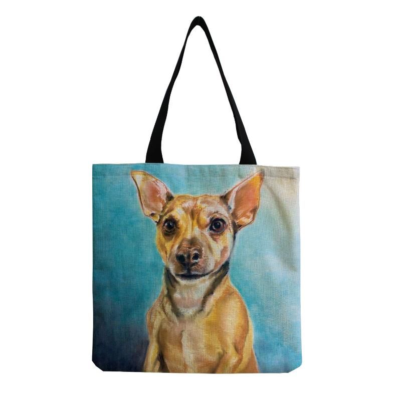 HM4482 Hundetasche