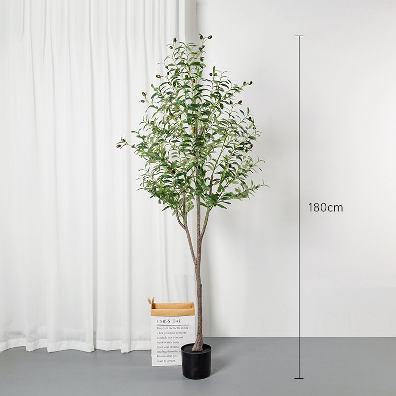 オリーブツリー-180cm