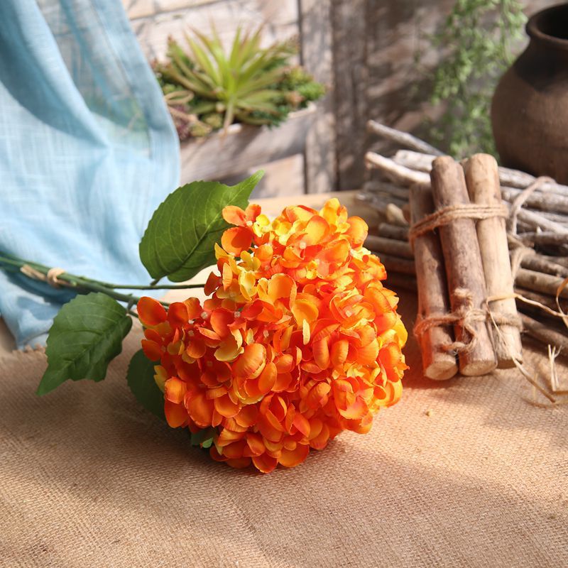 Orange hortensia