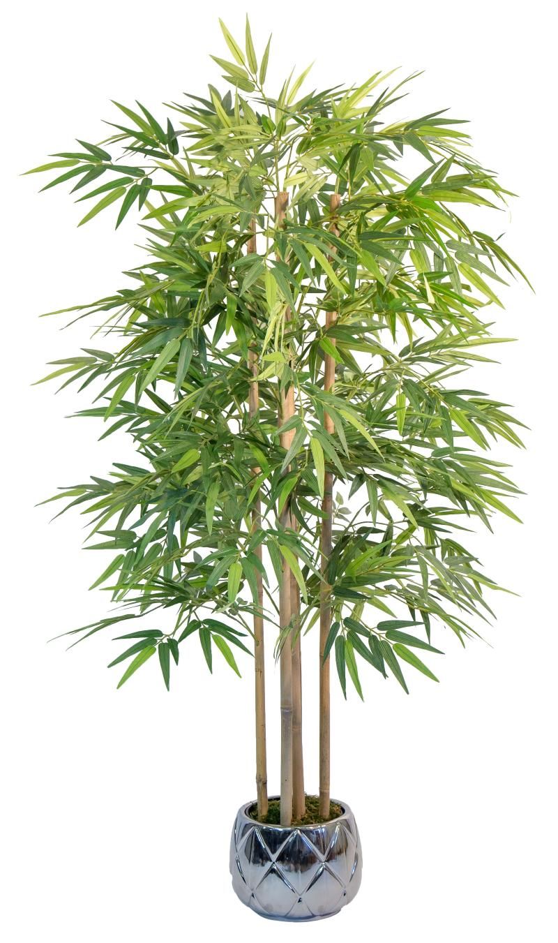Bambu 150 cm
