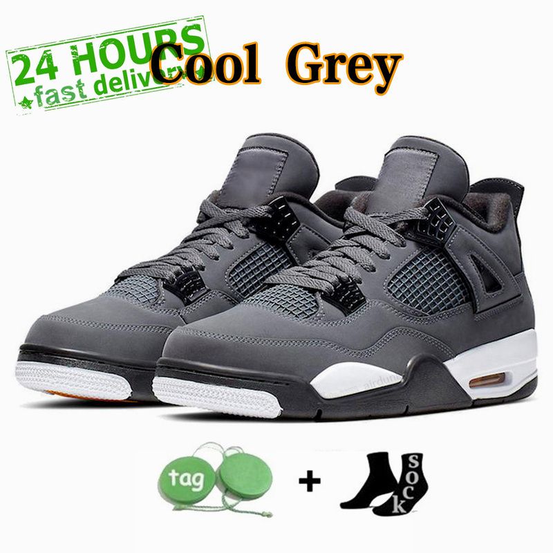 29# cool grey