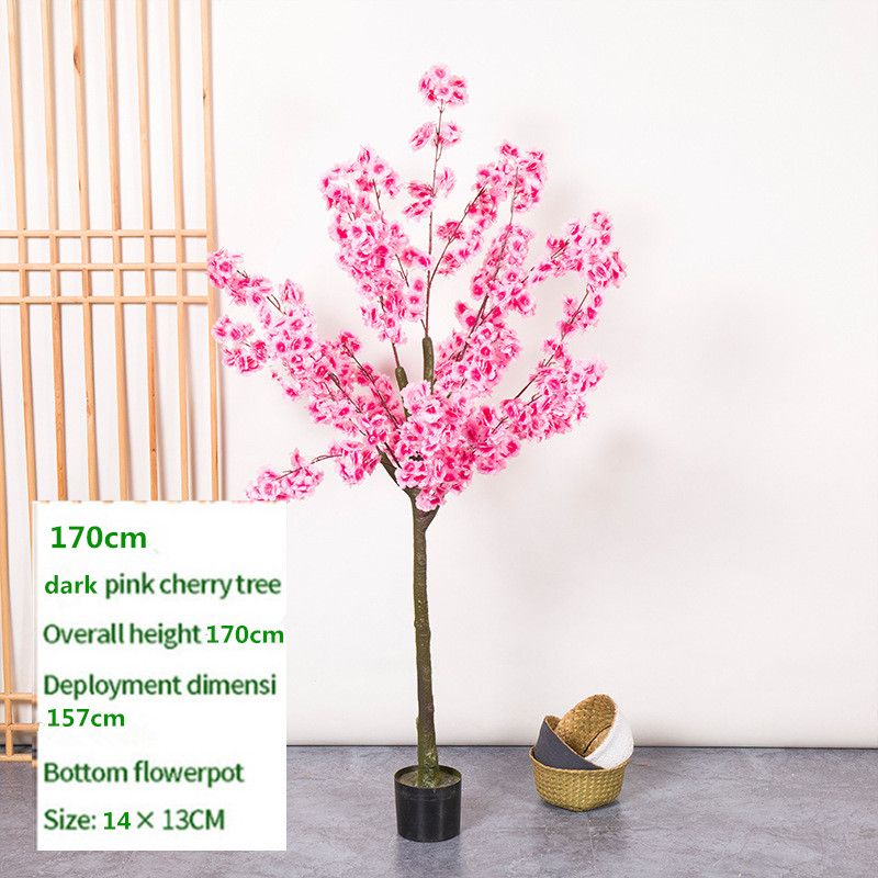 170 cm Cherry