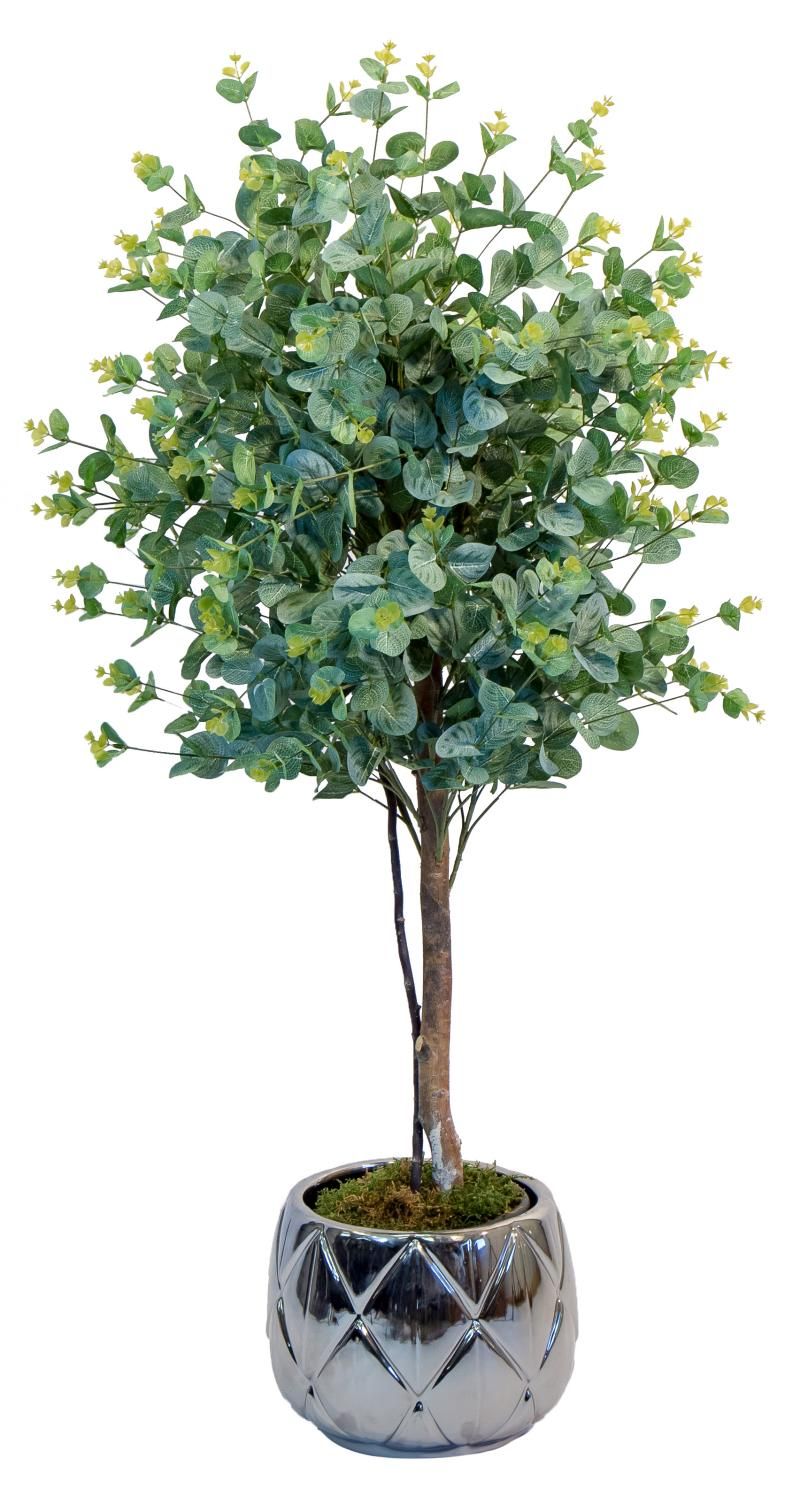 Eucalyptus 100 см