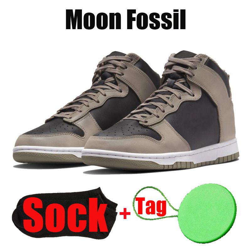 #5 Moon Fossil