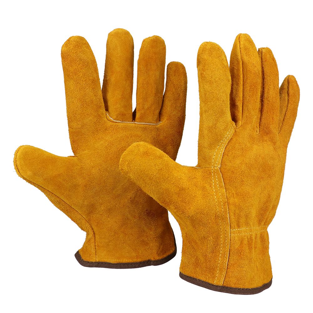 Nur Handschuhe