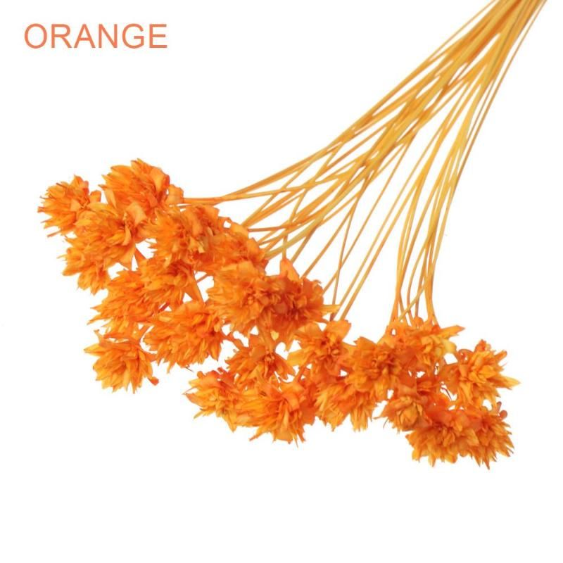 Orange1-30pcs