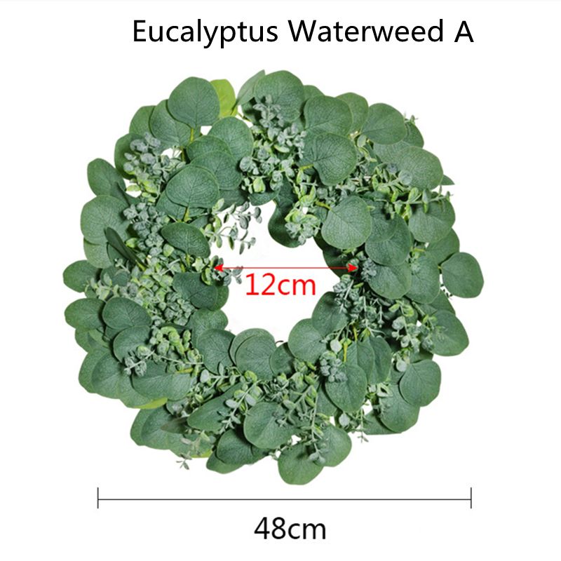 Eucalypt Waterweed A.