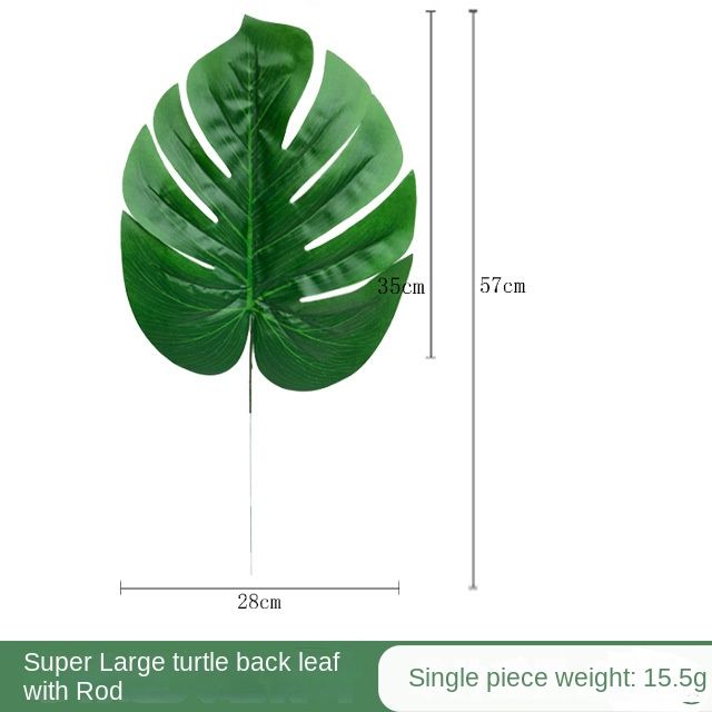57cm-turtle leaf