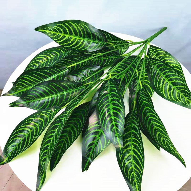 72 cm 26 leaves b