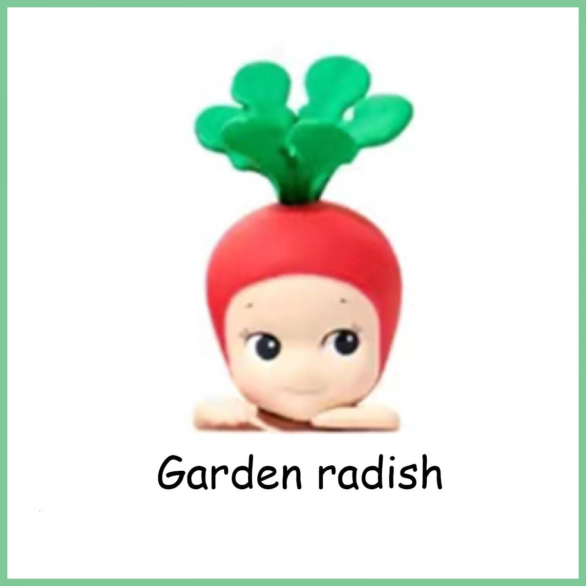 garden radish