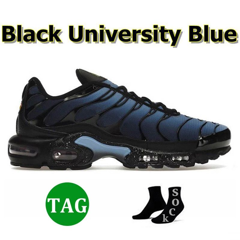 C66 40-46 Black University Blue