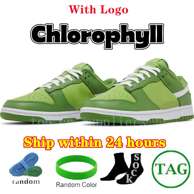 Nr. 24 Chlorophyll