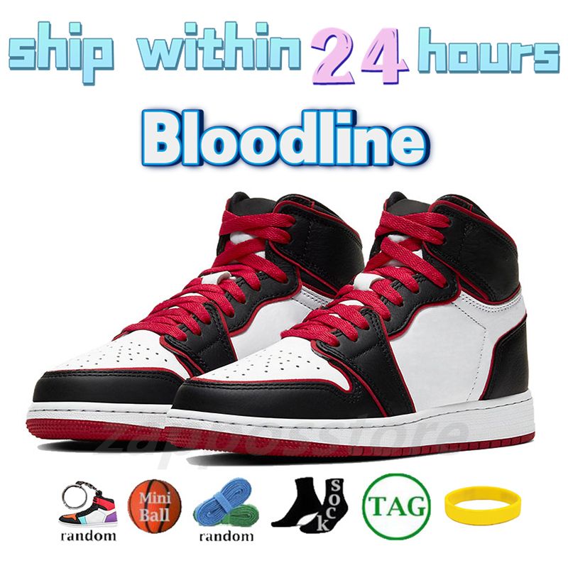 46 Bloodline