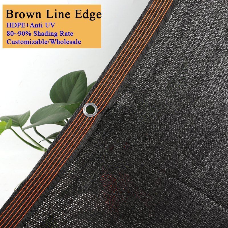 12pin Brown Line