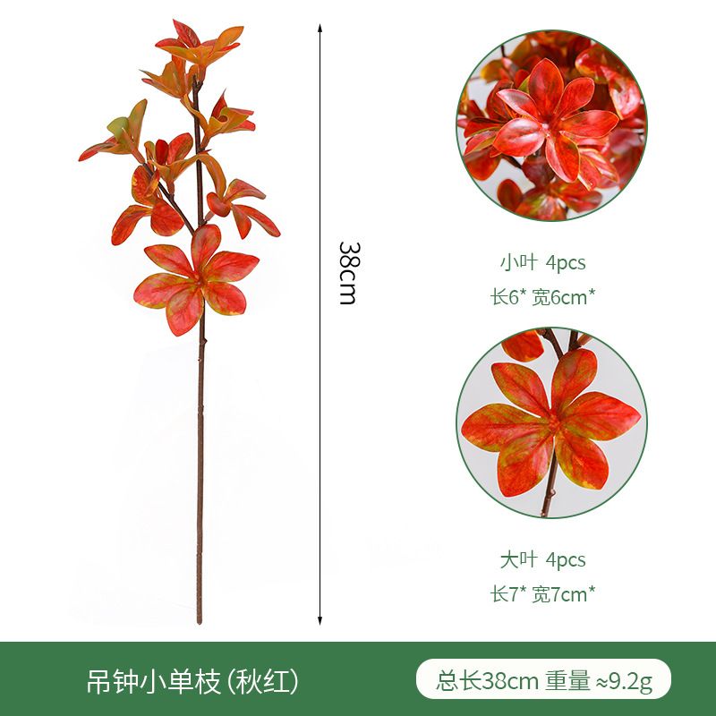 Diaozho Autumn Red