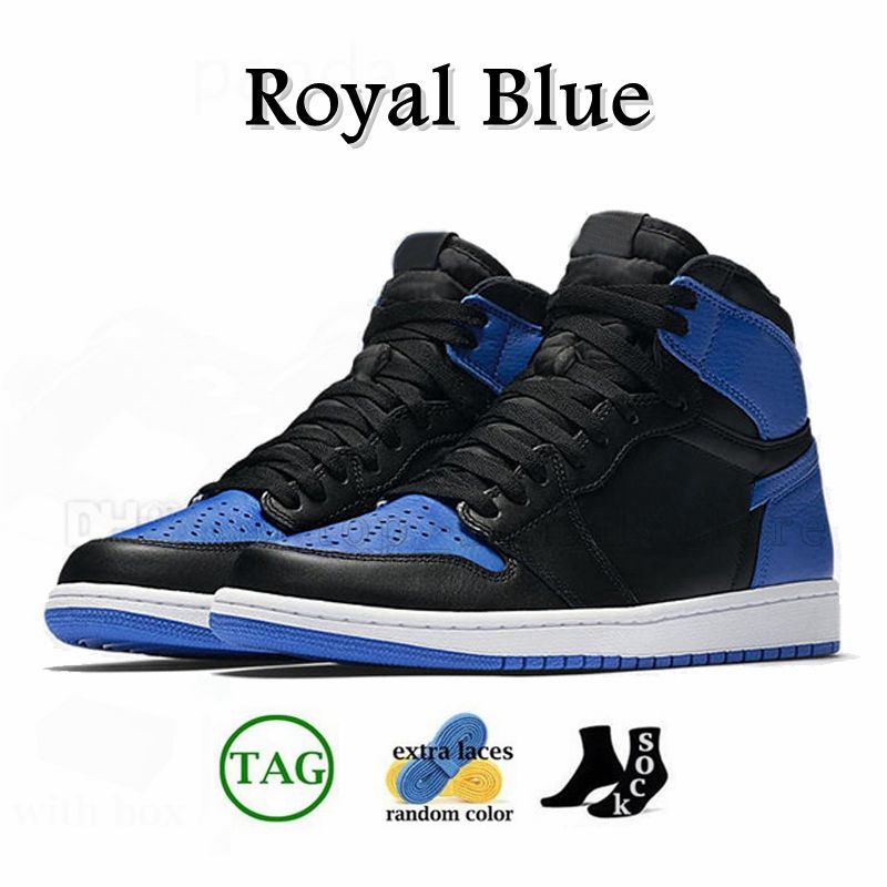 B48 Royal Blue 36-47