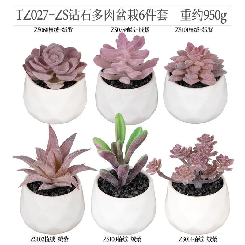 TZ027-6PCS