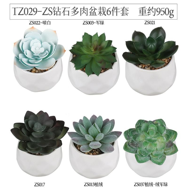 TZ029-6PCS