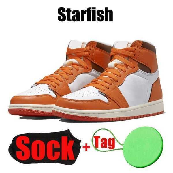 #17 starfish