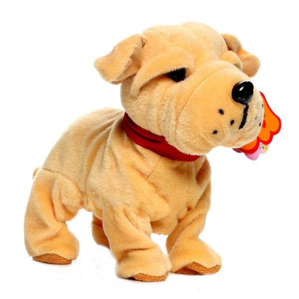 shar pei