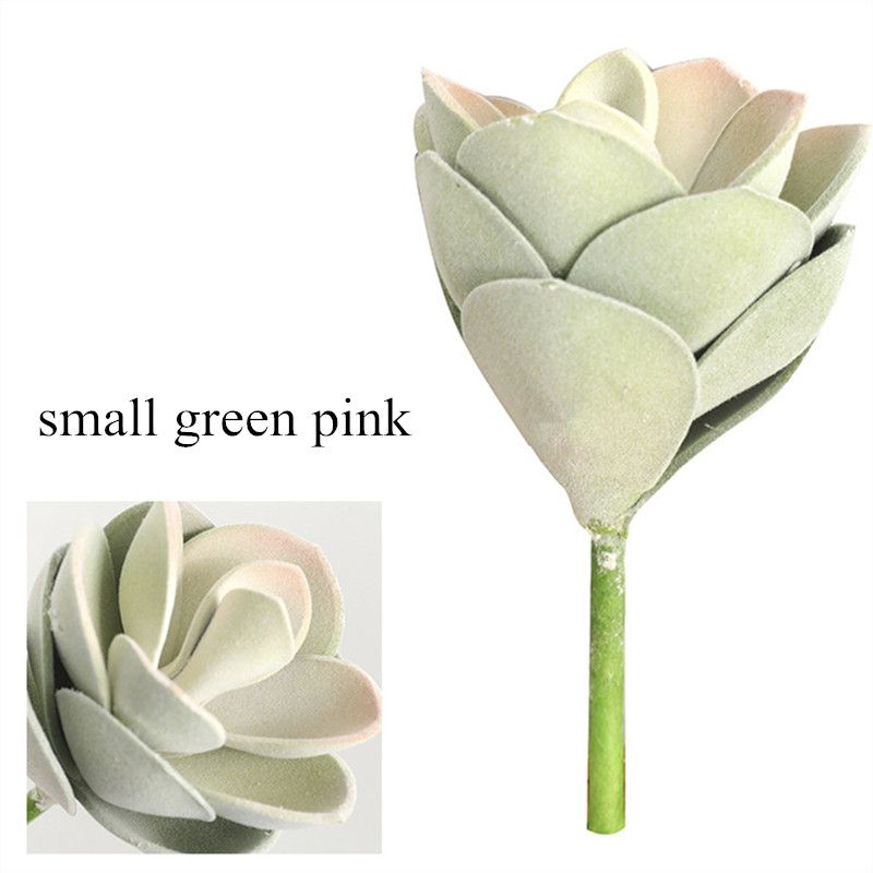 Mały zielony róż