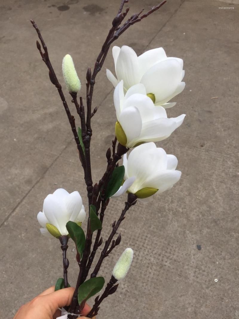 Witte magnolia